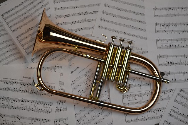 Descubra os tipos de instrumentos musicais, suas famílias, exemplos clássicos e modernos, e entenda a importância de cada um na música...