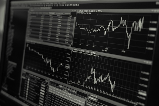 Investimentos na Bolsa de Valores: saiba tudo sobre os principais tipos de investimentos da renda variável