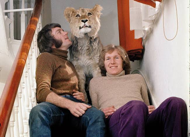 Conheça a história real do leão Christian, o felino que viveu em Londres, foi libertado no Quênia e protagonizou o reencontro mais emocionante das redes sociais