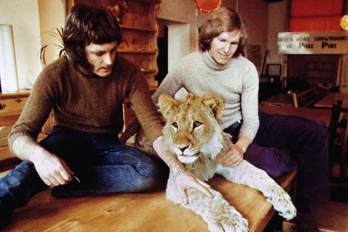 Conheça a história real do leão Christian, o felino que viveu em Londres, foi libertado no Quênia e protagonizou o reencontro mais emocionante das redes sociais