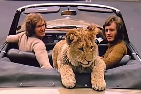 Conheça a história real do leão Christian, o felino que viveu em Londres, foi libertado no Quênia e protagonizou o reencontro mais emocionante das redes sociais