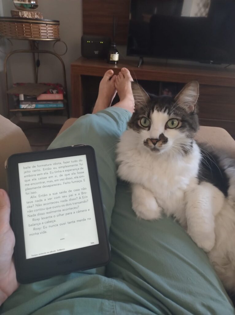 Comentários e discussão sobre o livro